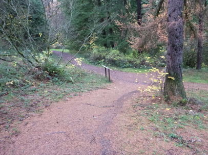 Natural surface Fir Trail with compacted gravel in some locations - slight downhill slope